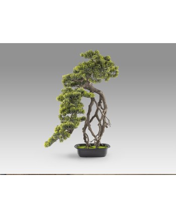 KENGAI - BONSAI 74CM- SET 2